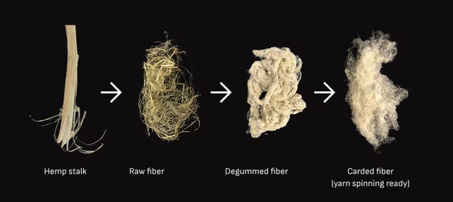 Technology of Renaissance Fiber