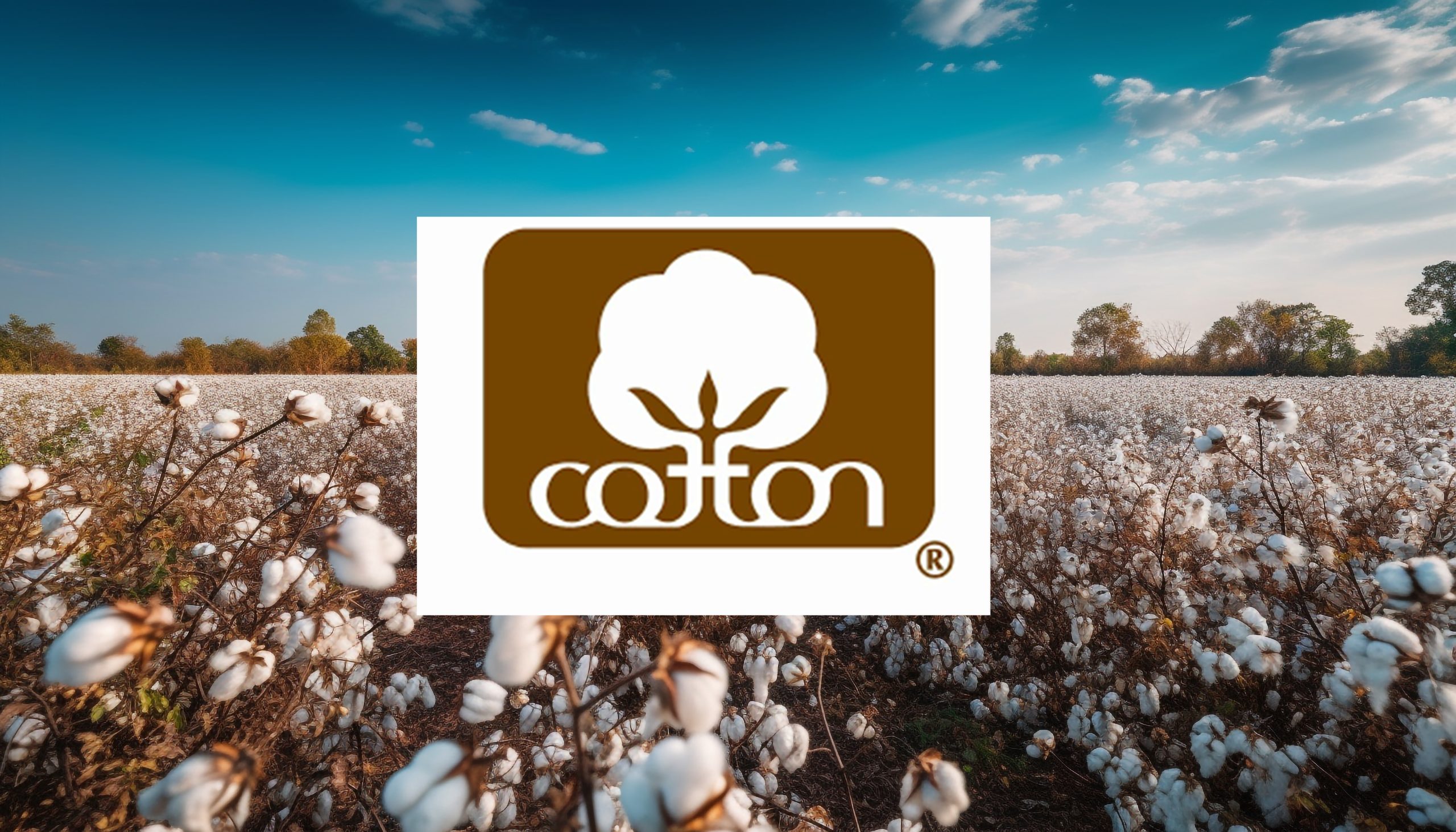 Cotton Incorporated Launches Reimagined CottonWorks™ Platform