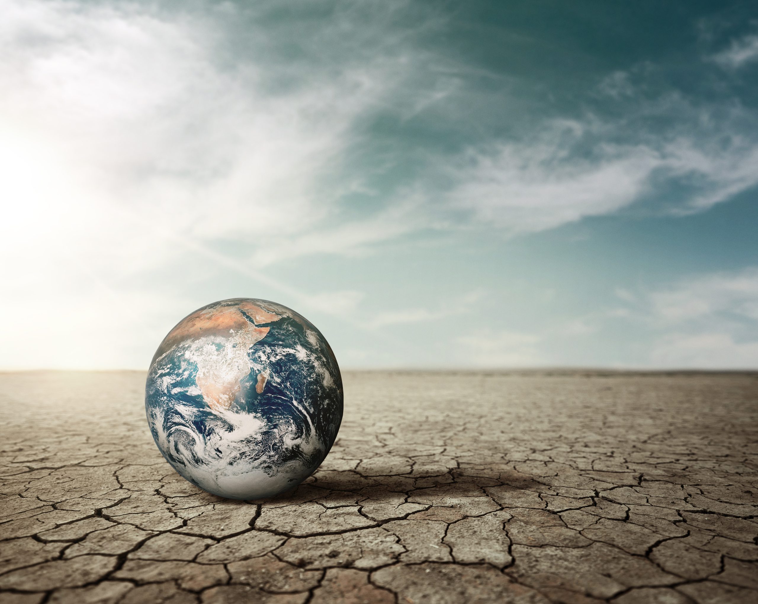 Climate Change Action