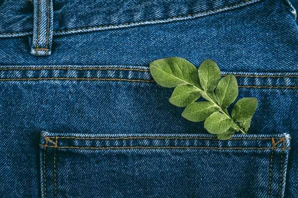 Sustainable denim: Hemp and green chemistry leading the way