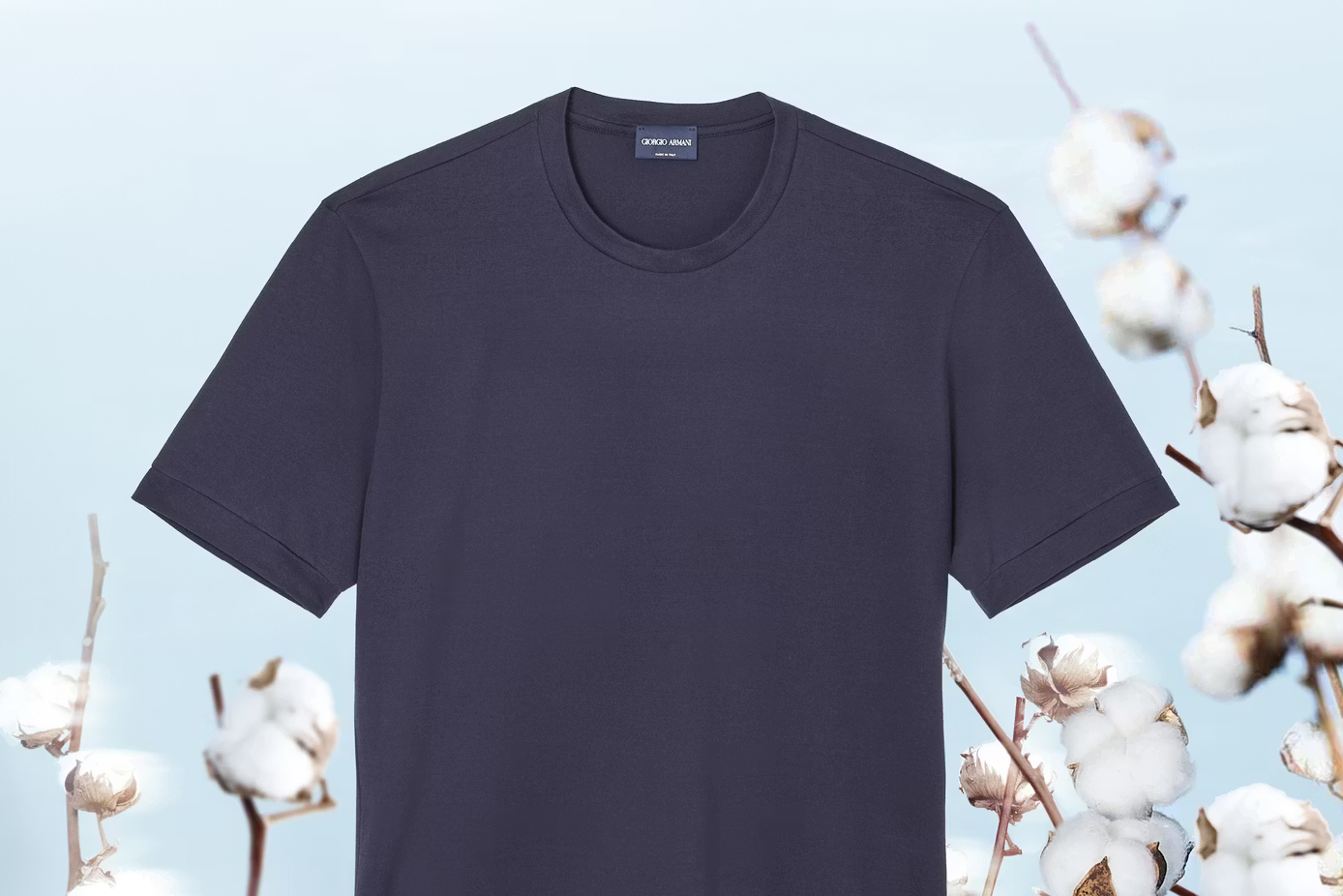 Apulia regenerative cotton project shows progress with first harvest and new garment release