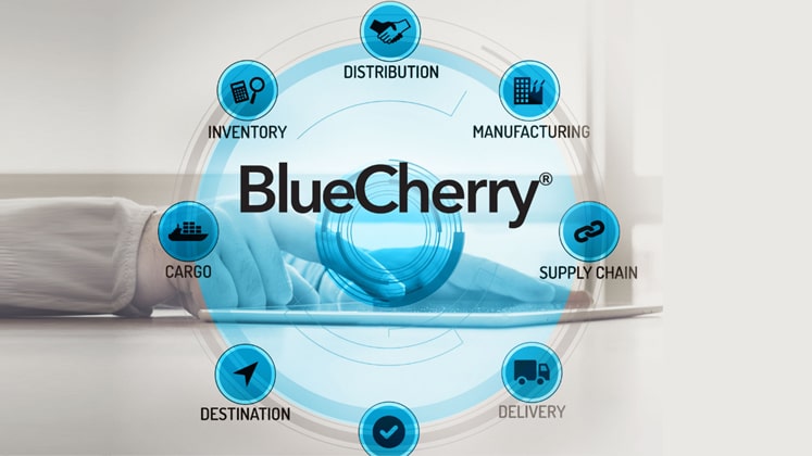 BlueCherry partners with Lodestar to expand digital solutions for Italian fashion brands