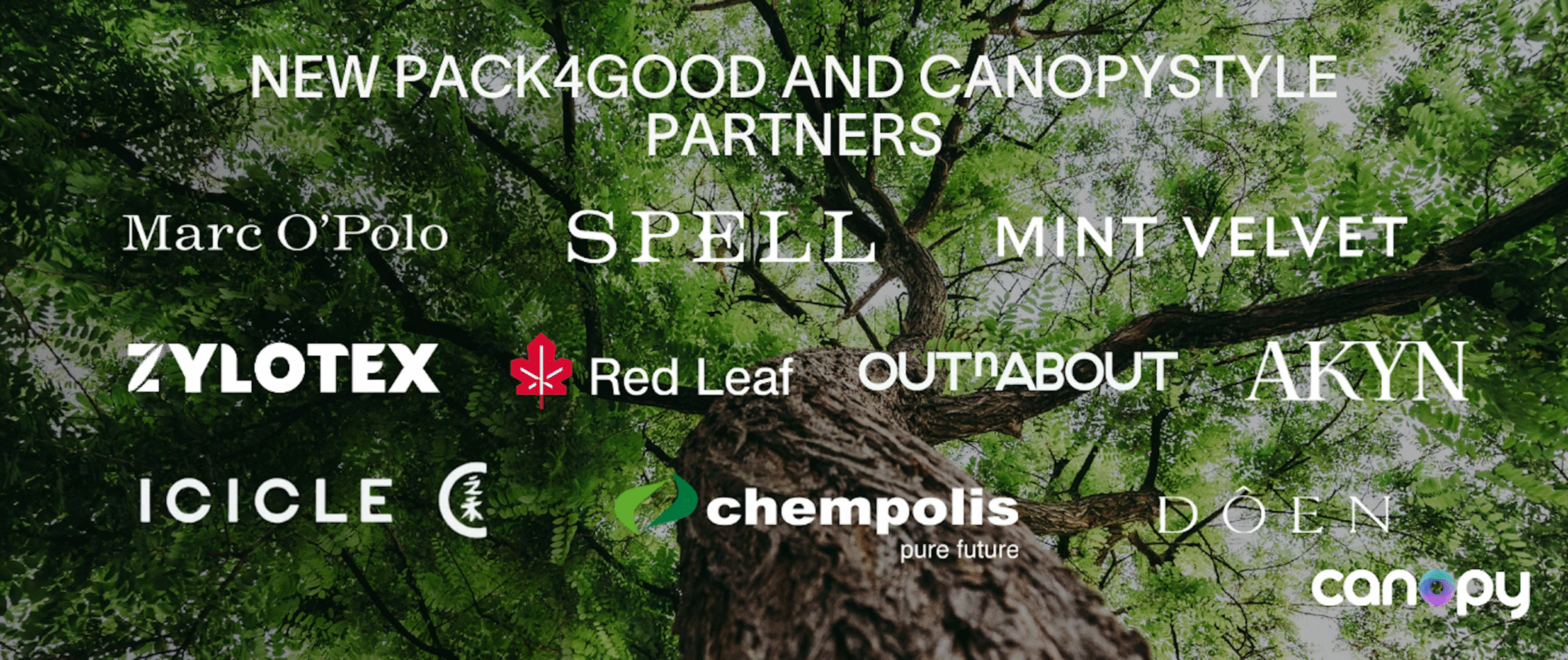 Fashion brands move to protect Ancient and Endangered Forests