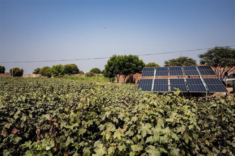 M&S Partners with Pilio to launch ACE cotton programme supporting clean energy and biodiversity in India