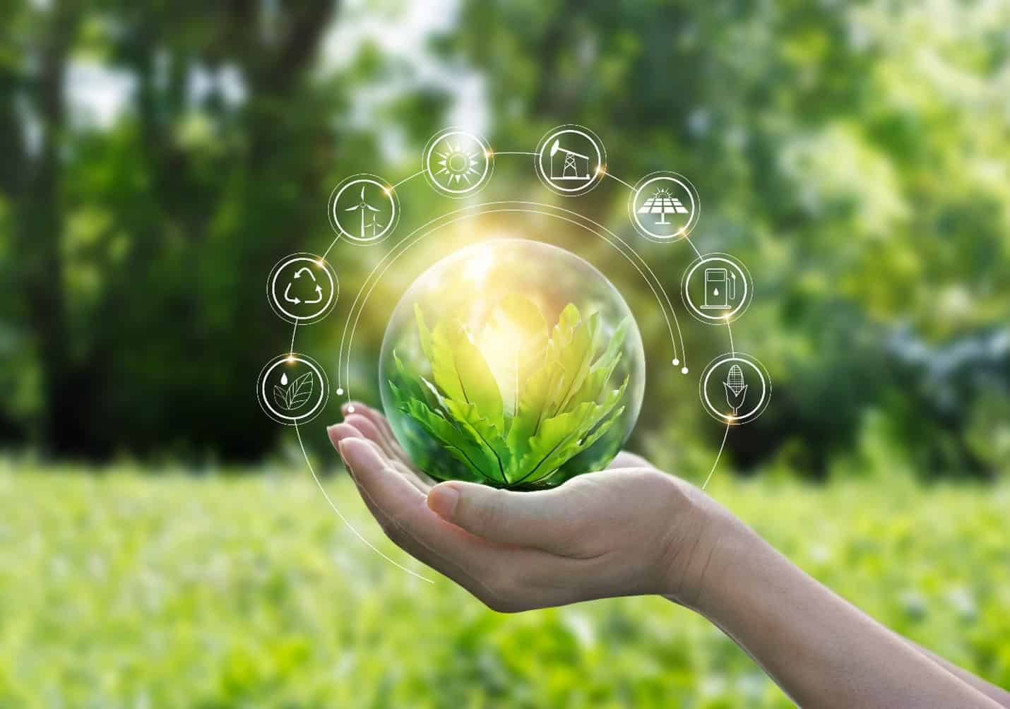 Sustainability reporting is now a competitive issue for manufacturers