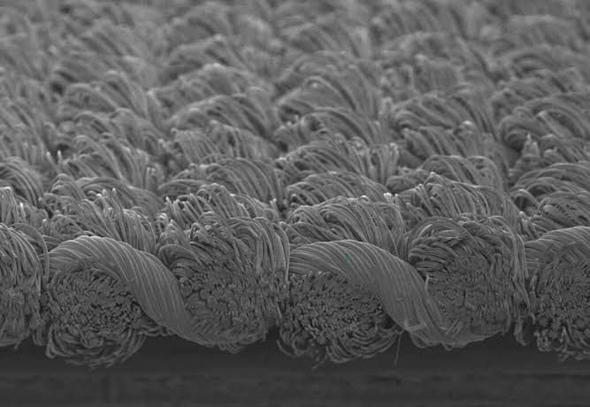 Toray develops polyester-nylon fiber with at least 93% recycled content